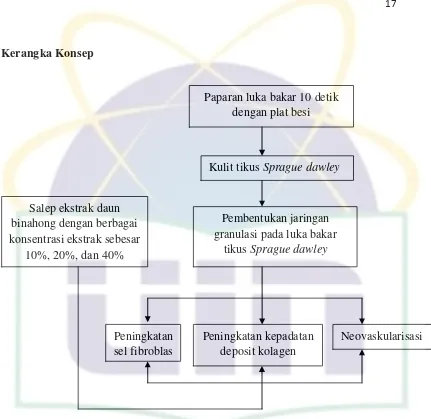 Gambar 2.5 Kerangka Konsep 