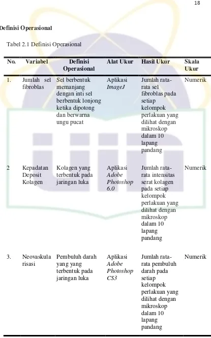 Tabel 2.1 Definisi Operasional 