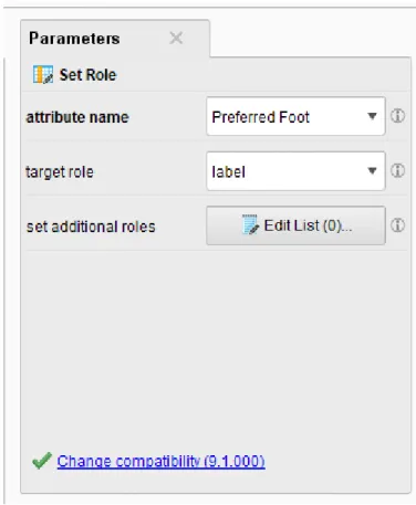 Gambar 4. 8 Parameter operator set role pada classification