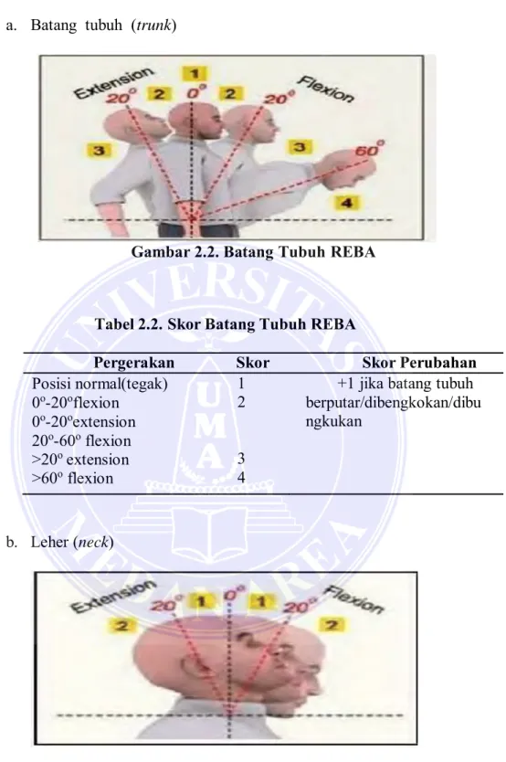 Gambar 2.2. Batang Tubuh REBA 
