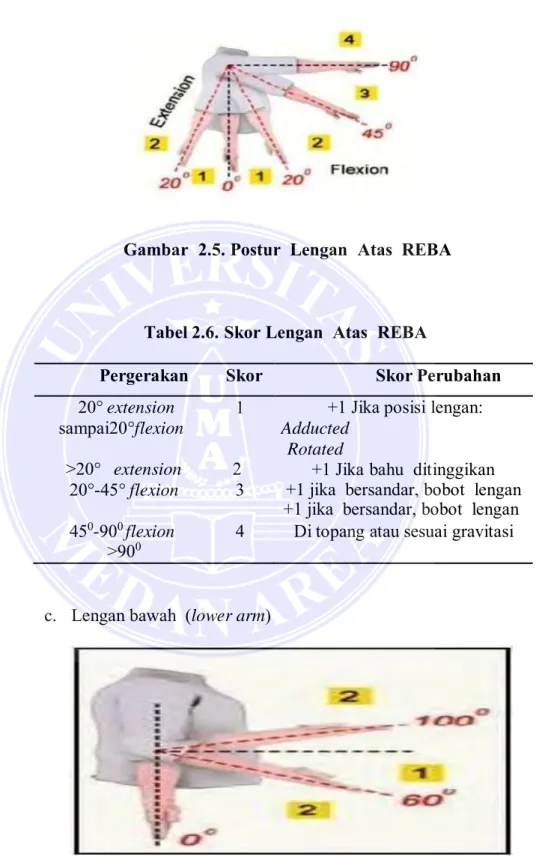 Tabel 2.6. Skor Lengan  Atas  REBA 