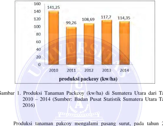 Gambar 1. Produksi Tanaman Packcoy  (kw/ha) di Sumatera Utara dari Tahun  2010  –  2014 (Sumber: Badan Pusat Statistik Sumatera Utara Tahun  2016) 