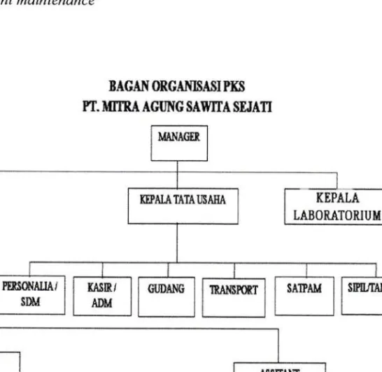 Gambar  2.1. Struktur  Organisasi  PT.  MASS UNIVERSITAS MEDAN AREA