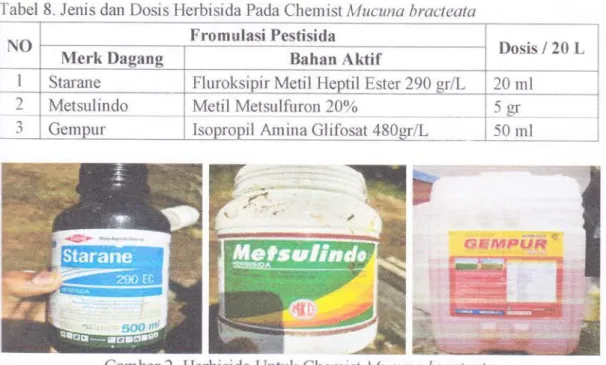 Tabel  8.  Jenis  dan  Dosis Herbisida  Pada  Chemist  lv{ucuna  hracteata
