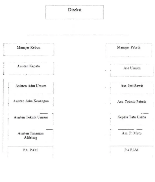 Table  4.1  Struktur  organisasi Perkebunan  Nusantara  Y