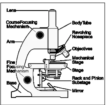 Gambar 3. Mikroskop Cahaya 