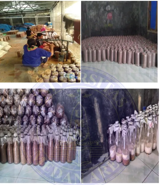 Gambar 1. Proses Pembudidayaan Jamur Tiram 