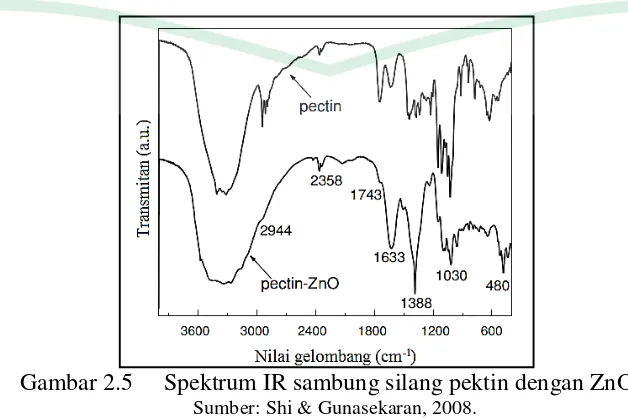 Gambar 2.5  Spektrum IR sambung silang pektin dengan ZnO. 