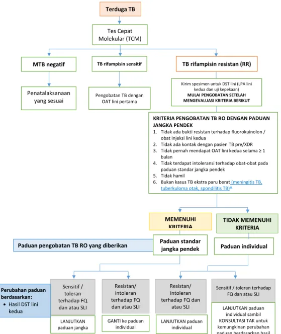 Gambar 2. Alur diagnosis dan pengobatan TB-RO 