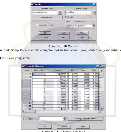 Gambar 3.11 Thematic Recode  