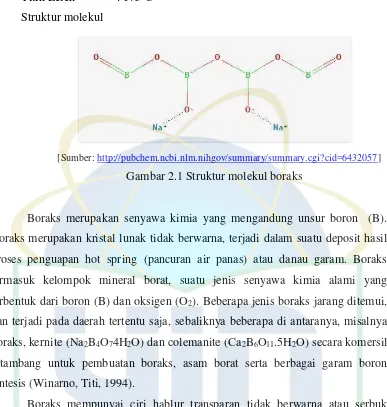 Gambar 2.1 Struktur molekul boraks 