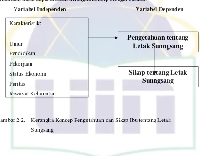 Gambar 2.2.  Kerangka Konsep Pengetahuan dan Sikap Ibu tentang Letak 