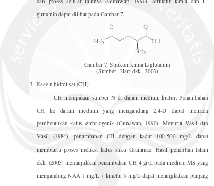 Gambarr 7. Struktur 