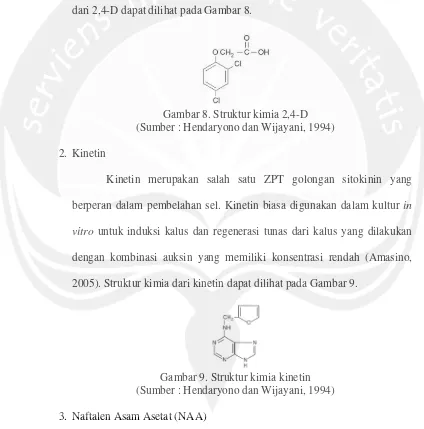 Gambar 8. Struktur kimia 2,4-D  