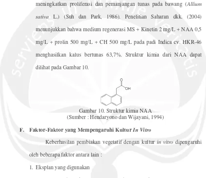 Gambar 10. Struktur kimia NAA 