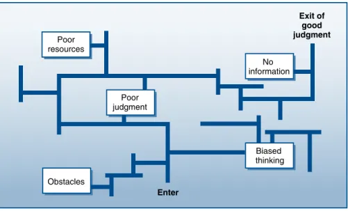 Figure 5.2 The problem-solving maze.