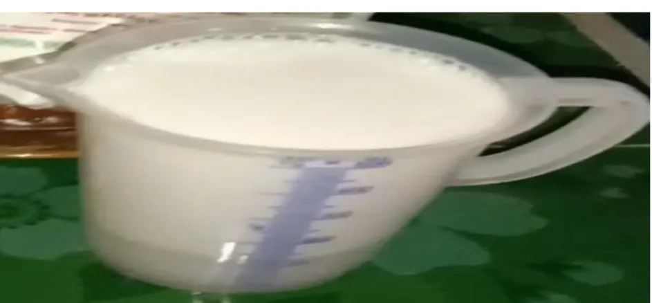 Gambar 3.9  Santan Kelapa 