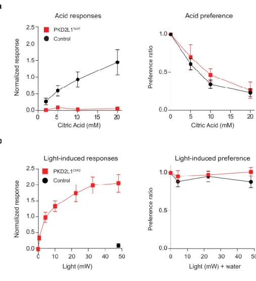 Figure 7: Acid-sensing taste pathway is not essential for sour aversion. a, Normalized  taste nerve responses to citric acid in PKD2L1 TeNT  and TeNT control animals (left)