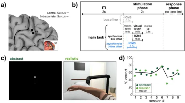 Figure 5.1 Experimental methods and paradigm 