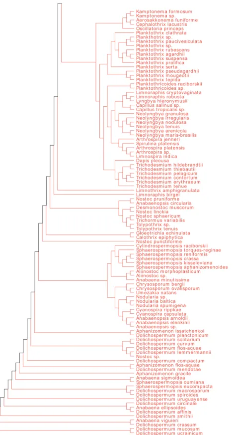 Figure 4-S1: 16S phylogenetic tree of all reported GV-producing organisms. Colors indicate groupings of  phylogenetically similar organisms