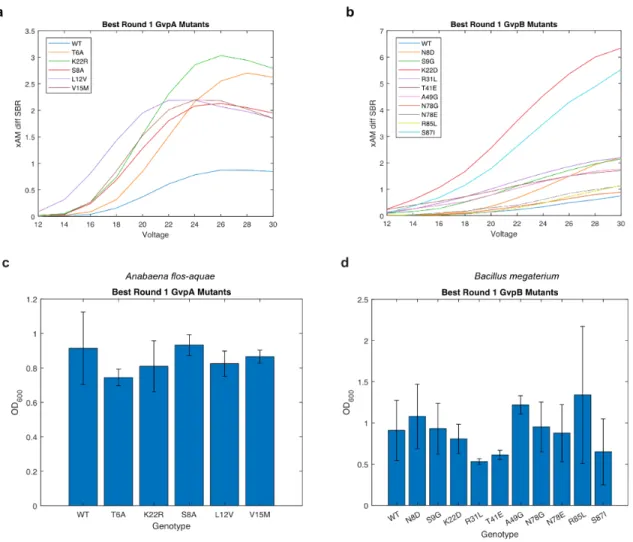 Figure 3-S3. Characterization of the top mutants from Round 1 of evolution. (A-B) xAM difference SBR  as a function of pressure for each of the top mutants