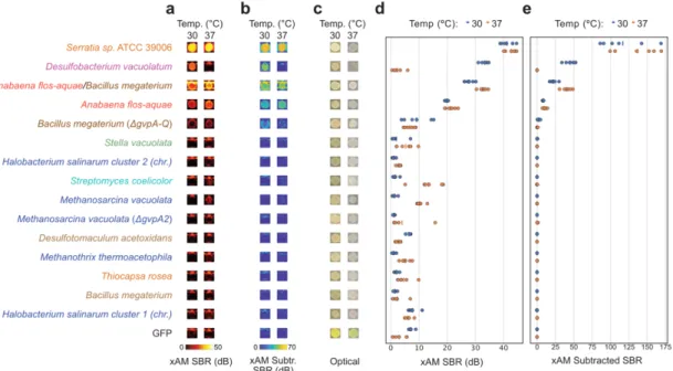 Figure  4-ED1:  Additional  images  and  quantification  of  E.  coli  patches  expressing  select  GV  gene  clusters