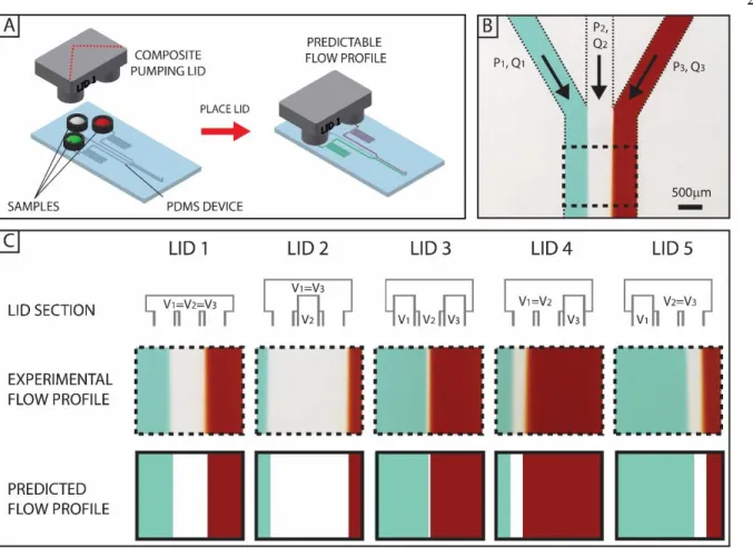 Figure 2.5 Production of different flow profiles in the same device using composite pumping  lids