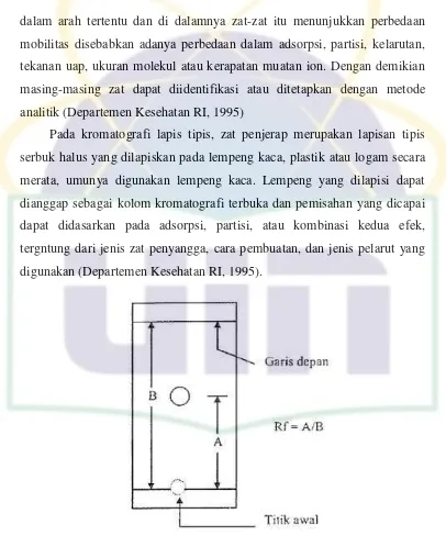Gambar 2.4 Skema Kromatografi Lapis Tipis 