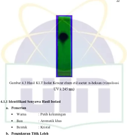 Gambar 4.3 Hasil KLT Isolat Kencur eluen etil asetat :n-heksan (visualisasi 