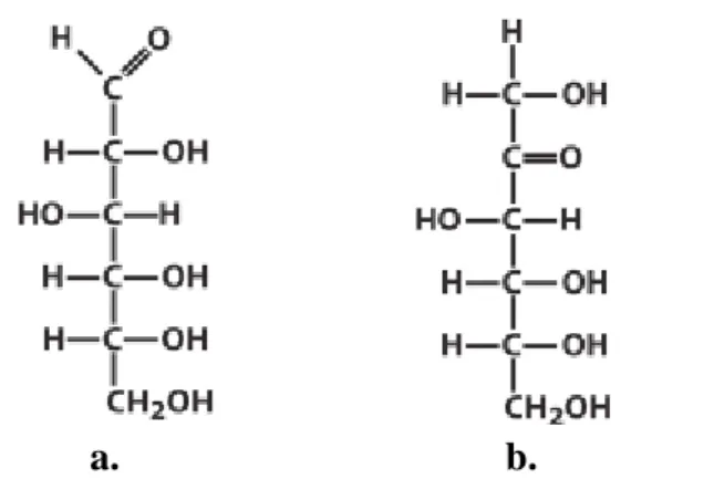 Gambar 5. a.  D-Glukosa (Aldoheksosa), b. D-Fruktosa (Ketoheksosa) 