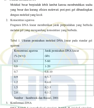 Tabel 1. Ukuran pemisahan molekul DNA linear pada standar gel 