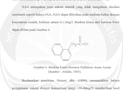 Gambar 6. Struktur kimia Hormon Naftalene Asam Asetat           (Sumber : Abidin, 1985)