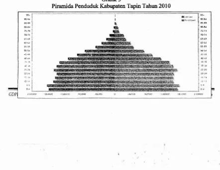 Grafik 3Piramida Penduduk Kabtrpaten Tapin Tahtrn 2010