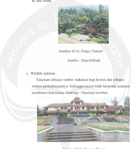 Gambar II.14. Fungsi Taman 