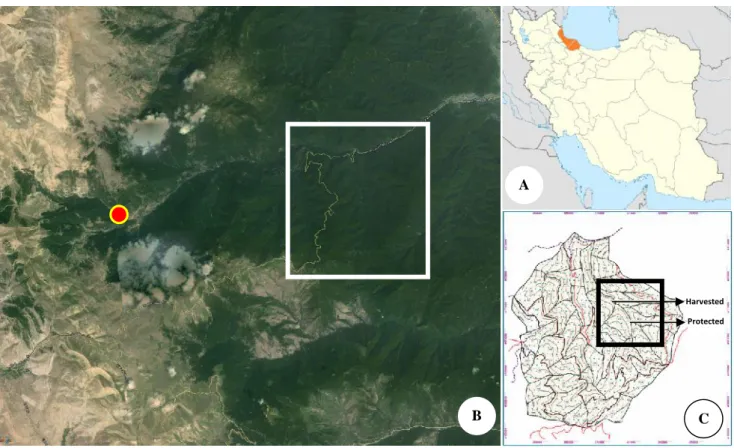 Figure 3. Study site map of Nav-forest, northern Iran. A. Guilan Province, Iran, B. Nav-forest within study site, near Nav ( ), Asalem, Talesh, Guilan, Iran, C