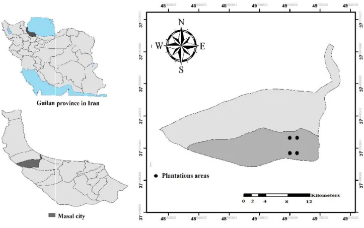 Figure 1. Study areas location in Masal City, Guilan Province, Iran.