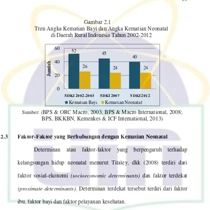 Tren Angka Kematian Bayi dan Angka Kematian Neonatal Gambar  2.1 di Daerah Rural Indonesia Tahun 2002-2012 