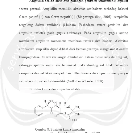 Gambar 8. Struktur kimia ampisilin  
