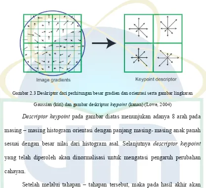 Gambar 2.3 Deskriptor dari perhitungan besar gradien dan orientasi serta gambar lingkaran 