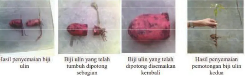 Foto Suwignyo (n.d)
