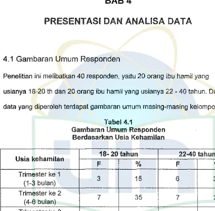 Tabel 4.1 Gambaran Umum Responden 