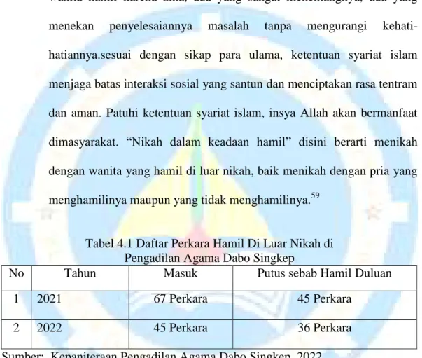 Tabel 4.1 Daftar Perkara Hamil Di Luar Nikah di   Pengadilan Agama Dabo Singkep 