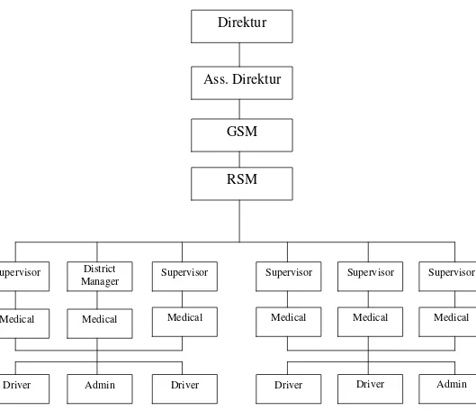 Gambar 4.1 : Struktur Organisasi Divisi Primary Care PT. Kalbe Farma Cabang Medan Sumber : PT