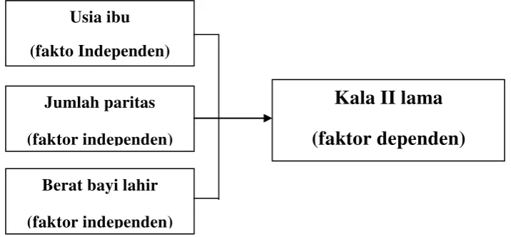 Gambar 2.1. Kerangka teori 