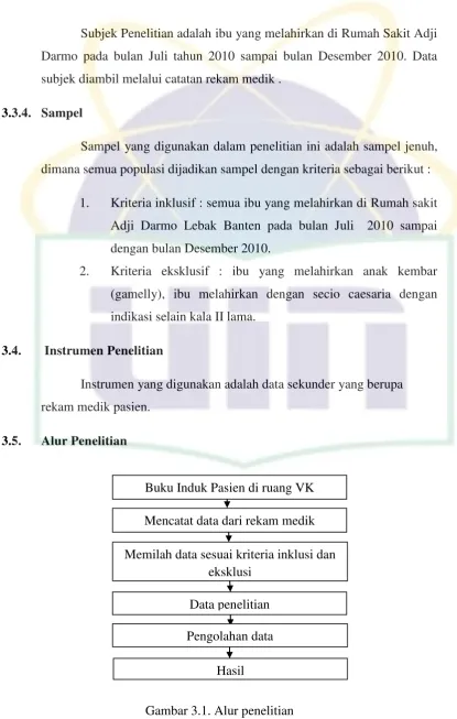Gambar 3.1. Alur penelitian 