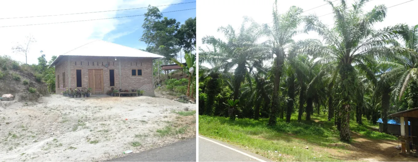 Foto 1 pada point 4 di peta. Rumah masyarakat yang berada di Desa  Pangkalan Dolok Lama masuk dalam kawasan Hutan Produksi PT  TPL Sektor Padang Sidempuan