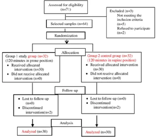 Figure 1 CONSORT flow diagram of participant recruitment process
