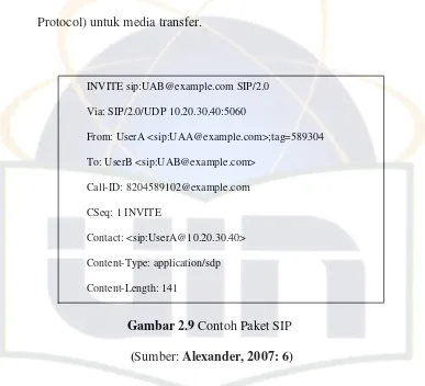 Gambar 2.9 Contoh Paket SIP 