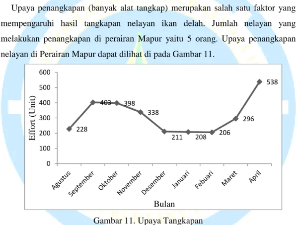 Gambar 11. Upaya Tangkapan 