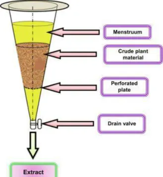 Gambar 2.7. Teknik Perkolasi (Alara et al., 2021) 